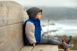 Monterey Bay Peninsula Attractions For Kids 8