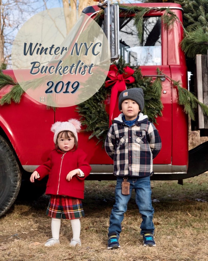 Winter Nyc Bucketlist 2019